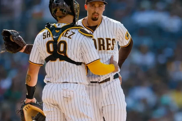 Blake Snell y Gary Sanchez Una combinacion exitosa en las Grandes Ligas