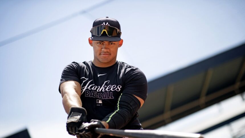 La llegada de Jasson Dominguez a las grandes ligas con los Yankees de Nueva York