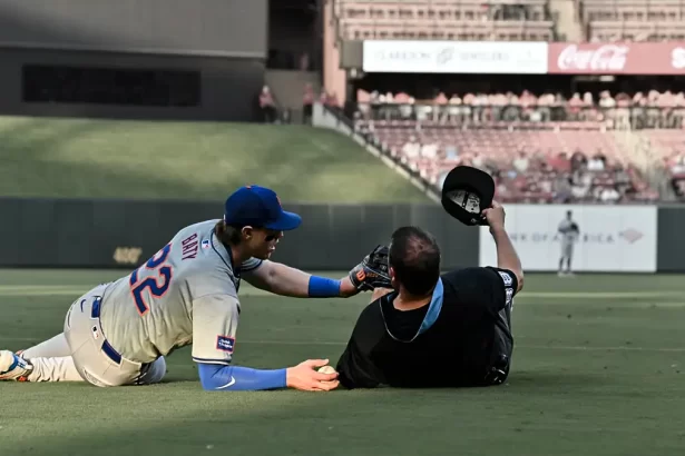 Insolito incidente en el Citi Field Umpire interrumpe jugada crucial