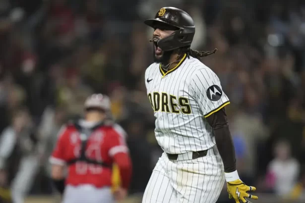 Fernando Tatis Jr 953243