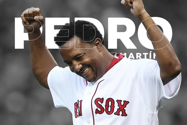 Pedro Martinez 46451213